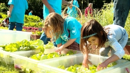 First Lady Michelle Obama Hosts Three Sisters Garden Planting & Harvest