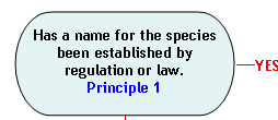 Flow Chart Section 1: Has a name for the species been established by regulation or law? (Principle 1). If yes, proceed to Section 2; if no proceed to Section 3. 