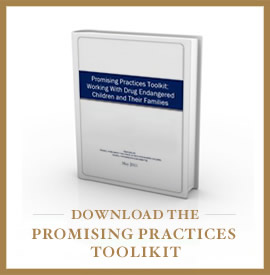 Download the Promising Practices Toolkit