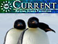 NSF Current, June 2012 Edition
