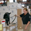 K9 Package Inspection (TSA)