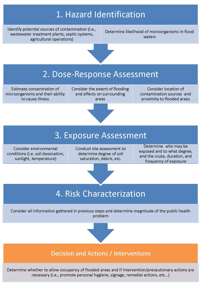 Figure 1. The Four Steps of the Risk-assessment Process