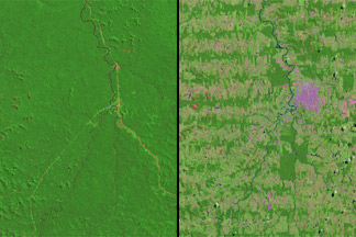 Greatest Hits from Landsat