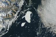 Petermann Ice Island in Nares Strait
