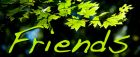 Science Center Friends logo