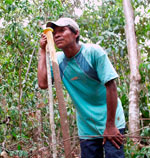 A Makushi man opening a transect trail in Amazon basin.
