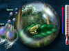 Frog in a forest inside a sphere next to spores and a thermometer.