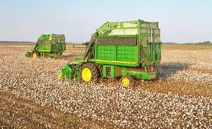 Cotton Harvesters