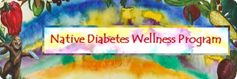 Native Diabetes Wellness Program