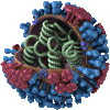 Seasonal flu virus