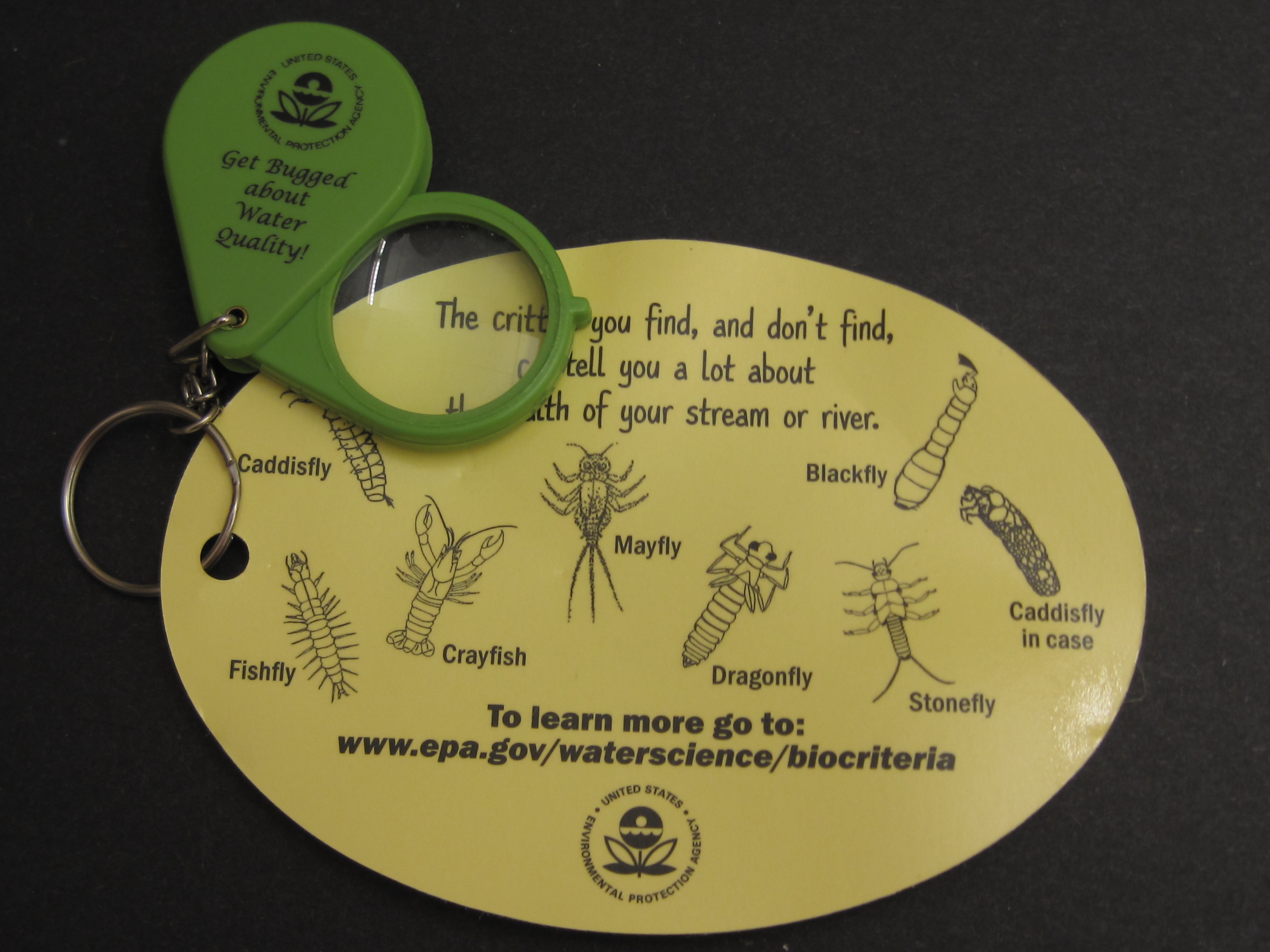 Magnifying glass and card with pictures of macroinvertebrates that helps people look for the critters under rocks in streams