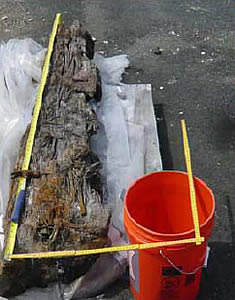 Piece of shipwreck found in Harbor.