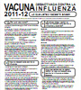 La Declaración de la Información de la vacuna
