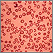 Thalassemia minor