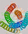 Hendra virus fusion protein - Copyright: Science Photo Library