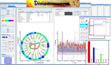 DiVisa software for visualization of network dynamics. (low res)
