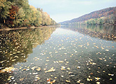 Autumn along the Delaware River