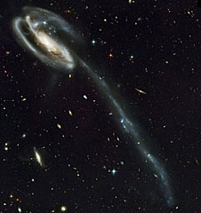 A large spiral galaxy with a tail that makes it look like a giant tadpole