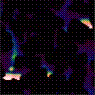 Two dimensional cross section of two component fluid flow through porous media.