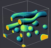 Phase Separation of a Two Component Fluid (jpg 180)