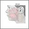 Adenoid removal - series