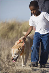 Photo: A boy and his dog going for a walk.