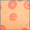 Red blood cells, target cells