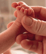 Premature baby, foot in fathers hand. 