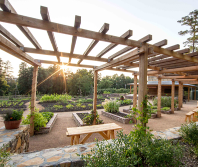 pergola in the Charlotte Brody Discovery Garden | courtesy of Rick Fisher's Photography