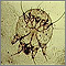 Scabies mite, photomicrograph