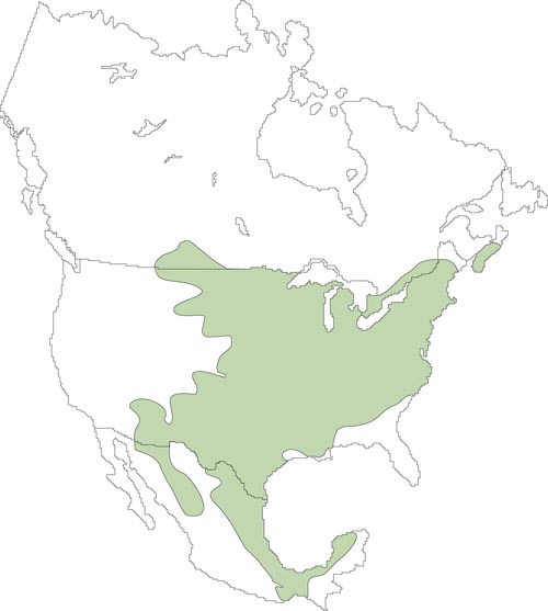 Map of white-footed mouse distribution in north america