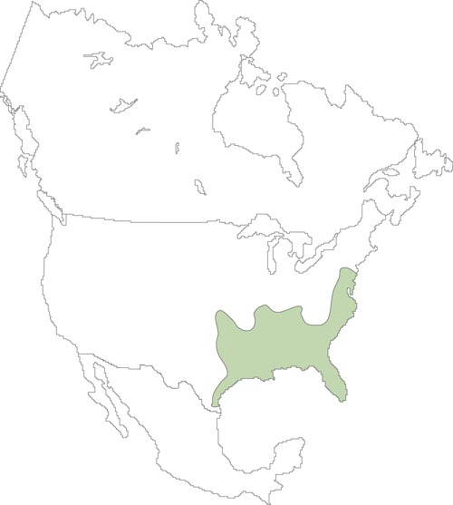 Map of rice rat distribution in north america
