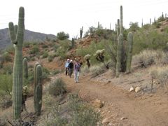 Hikers along the Arizona National Scenic Trail