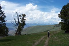Hiker on the Continental Divide Trail in Idaho - Photo by Mary Wright, BLM