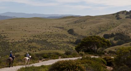 A pair of equestrian riders enjoy one of the many trails on the Fort Ord National Monument.  Photo by Bob Wick, BLM