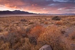 Black Rock Desert-High Rock Canyon Emigrant Trails National Conservation Area - Photo by Bob Wick, BLM