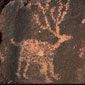 AZ petroglyph