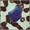 Mononucleosis, microfotografía de células
