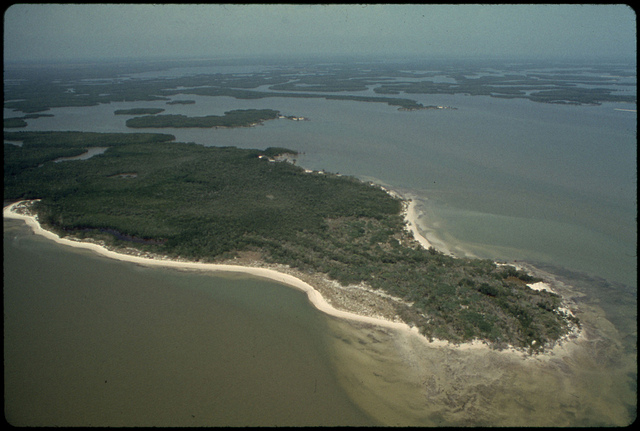 Photograph of One of the Uninhabited Islands between the Southern Coast and the Florida Keys Documerica 1975 by Flip Schulke 1930-2008.