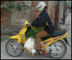 A woman riding on a moped with birds - her face protected with a mask