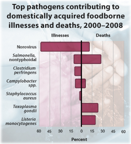 Chart: Top pathogens contributing to domestically acquired foodborne illnesses and deaths, 2000 to 2008. Norovirus: Illnesses 58%; Deaths 11%. Salmonella, nontyphoidal: Illnesses: 11%; Deaths 28%. Clostridium perfringens: Illnesses: 10%. Campylobacter spp.: Illnesses: 9%; Deaths 6%. Staphylococcus aureus: Illnesses: 3%. Toxoplasma gondii: Deaths: 24%. Listeria monocytogenes: Deaths: 19%..