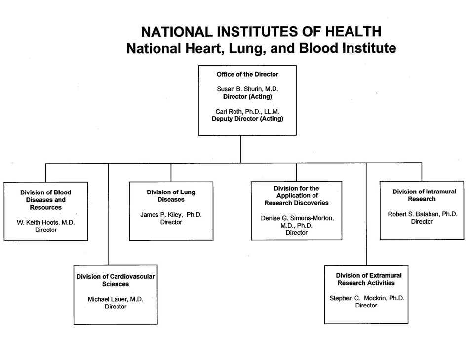 Org Chart and link to accessible version