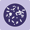 A purple icon of a petri dish.