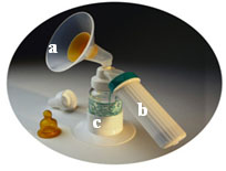 photograph of a breast pump, indicating the breast shield, the pump, and the milk collection container