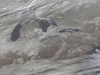 satellite image of snow in Great Lakes area