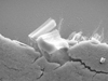 close-up view of internal structure of carbon-nanotube coating