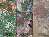 Landsat images showing (left to right) agricultural land use, forests, urban area
