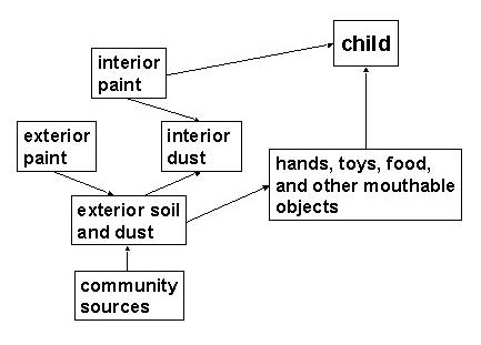 Figure 2.1. Pathways of Lead Exposure in the Residential Environment 