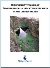Cover of Isolated Wetlands Report