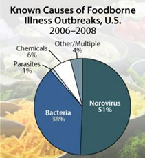 Graph showing known causes of foodborne illness outbreaks, U.S. 2006-2008, Norovirus 51%, Bacteria 38%, Parasites, 1%, Chemicals 6%, Other 4%